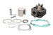Cilindru motor IP000221 INPARTS
