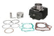 Cilindru motor IP000281 INPARTS