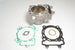 Cilindru motor EC250-002 ATHENA