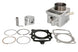 Cilindru motor IP000350 INPARTS