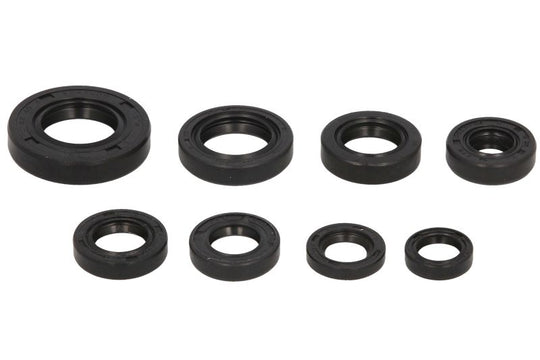Set garnituri pentru motor WINDEROSA 822181 