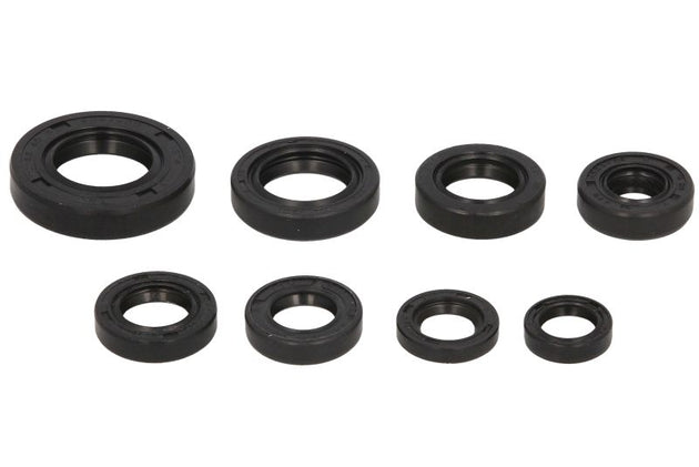 Set garnituri pentru motor WINDEROSA 822181 