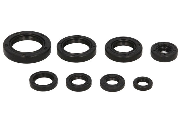 Set garnituri pentru motor WINDEROSA 822106 