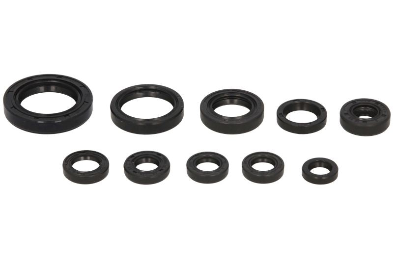 Set garnituri pentru motor WINDEROSA 822270 