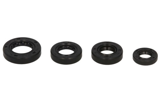 Set garnituri pentru motor WINDEROSA 822179 