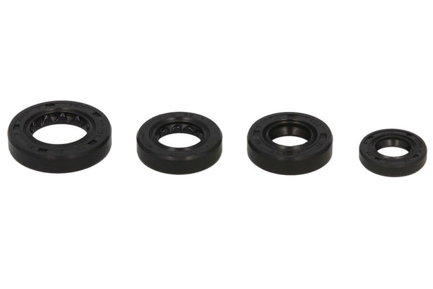 Set garnituri pentru motor WINDEROSA 822179 