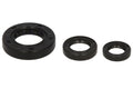Set garnituri pentru motor WINDEROSA 822331 
