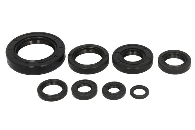Set garnituri pentru motor WINDEROSA 822108 