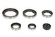 Set garnituri pentru motor WINDEROSA 822269 