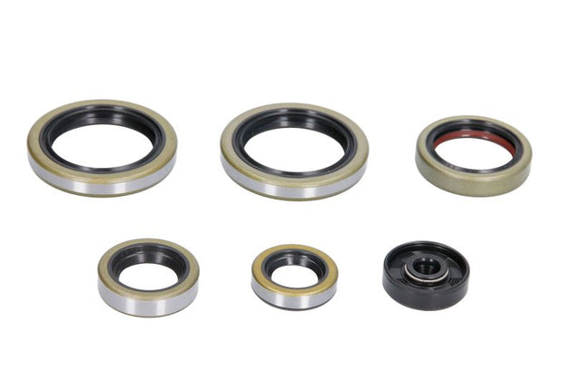 Set garnituri pentru motor WINDEROSA 822187 