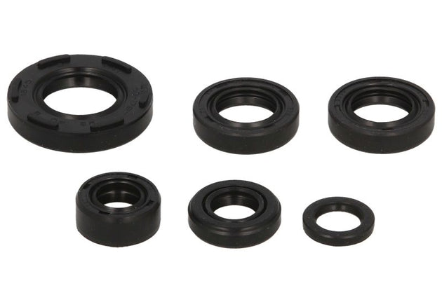 Set garnituri pentru motor WINDEROSA 822224 