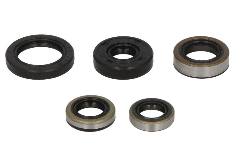Set garnituri pentru motor WINDEROSA 822216 