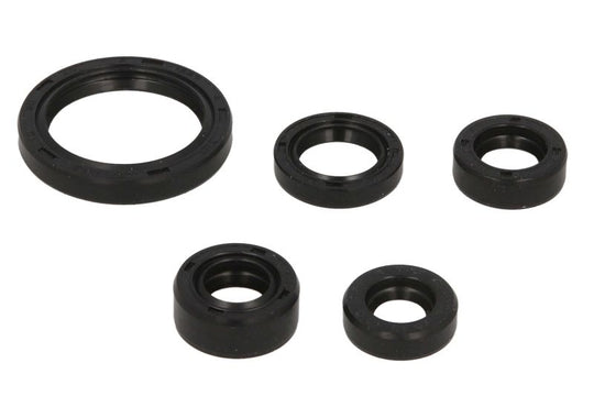 Set garnituri pentru motor WINDEROSA 822226 