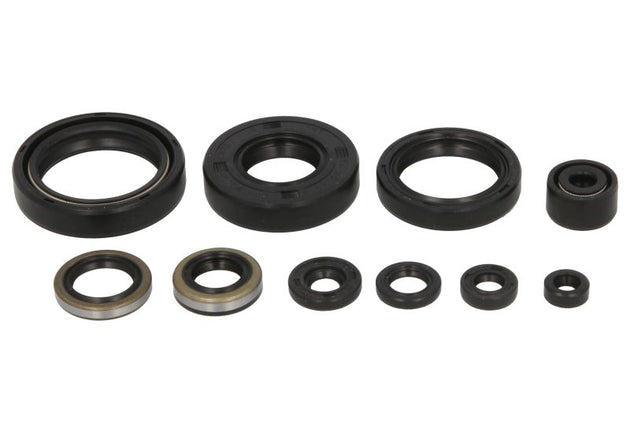 Set garnituri pentru motor WINDEROSA 822101 