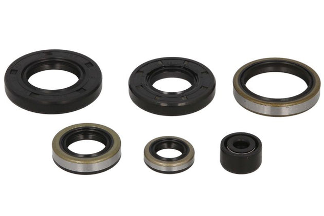 Set garnituri pentru motor WINDEROSA 822281 