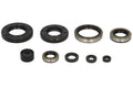 Set garnituri pentru motor WINDEROSA 822286 