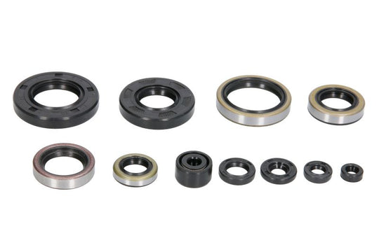 Set garnituri pentru motor WINDEROSA 822288 