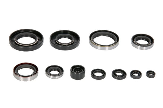 Set garnituri pentru motor WINDEROSA 822288 