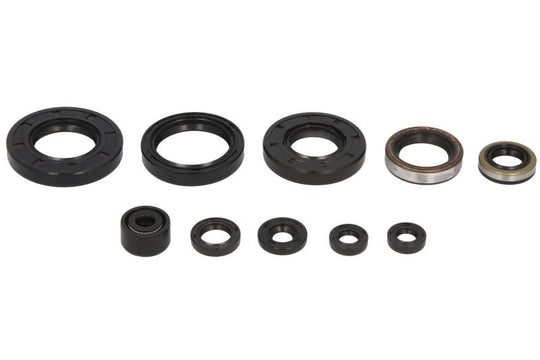 Set garnituri pentru motor WINDEROSA 822257 