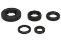 Set garnituri pentru motor WINDEROSA 822222 