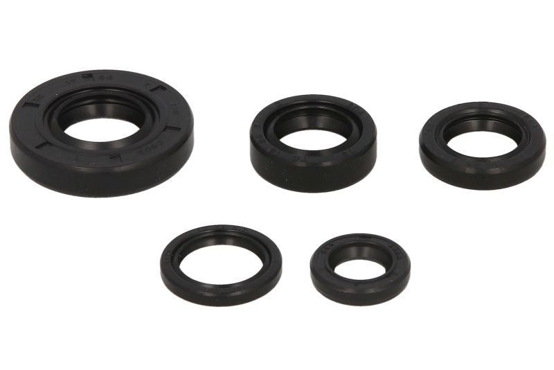 Set garnituri pentru motor WINDEROSA 822222 