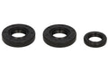 Set garnituri pentru motor WINDEROSA 822184 