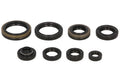 Set garnituri pentru motor WINDEROSA 822125 