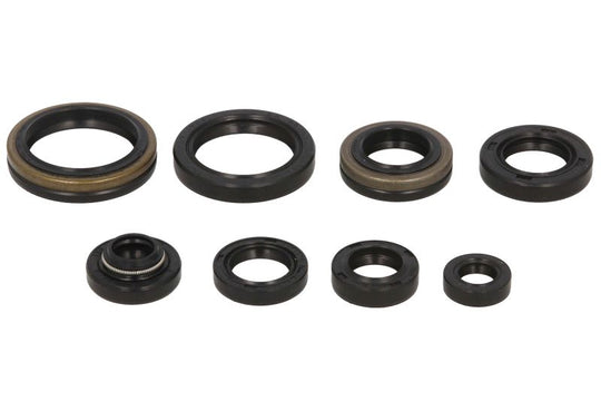 Set garnituri pentru motor WINDEROSA 822125 