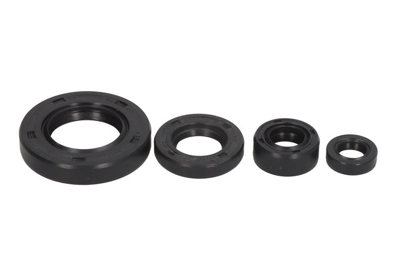 Set garnituri pentru motor WINDEROSA 822195 