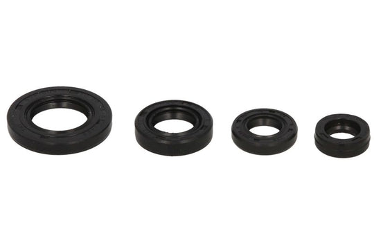 Set garnituri pentru motor WINDEROSA 822272 