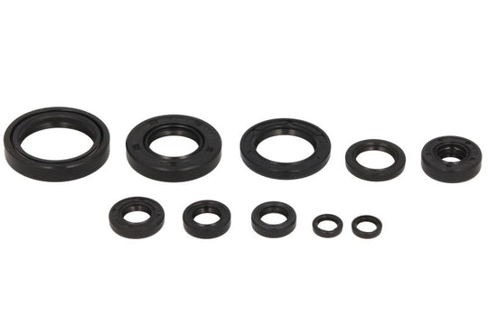 Set garnituri pentru motor WINDEROSA 822114 