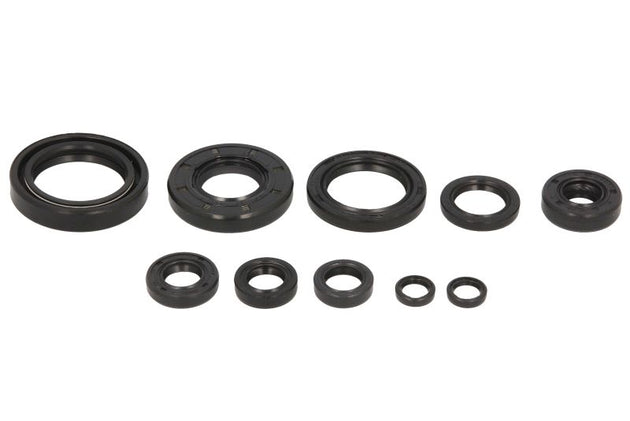 Set garnituri pentru motor WINDEROSA 822172 