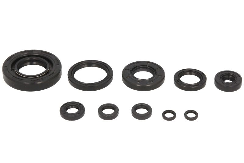 Set garnituri pentru motor WINDEROSA 822174 