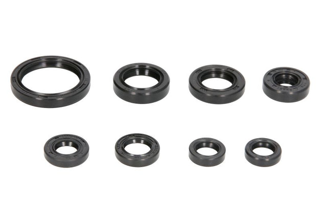 Set garnituri pentru motor WINDEROSA 822228 