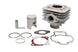 Cilindru motor IP000370 INPARTS