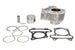 Cilindru motor IP000373 INPARTS