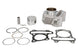 Cilindru motor IP000373 INPARTS