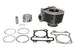 Cilindru motor IP000442 INPARTS