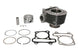 Cilindru motor IP000442 INPARTS