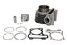 Cilindru motor IP000442 INPARTS