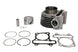 Cilindru motor IP000442 INPARTS