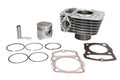 Cilindru motor IP000443 INPARTS