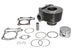 Cilindru motor IP000473 INPARTS