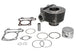 Cilindru motor IP000473 INPARTS