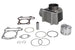 Cilindru motor IP000473 INPARTS