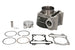Cilindru motor IP000475 INPARTS