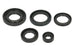 Set garnituri pentru motor WINDEROSA 822343 