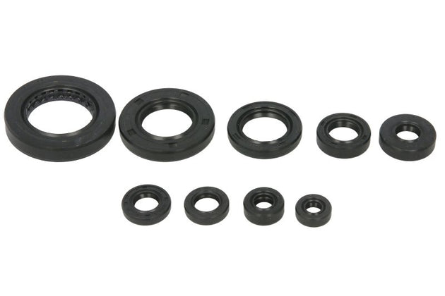 Set garnituri pentru motor WINDEROSA 822354 
