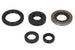 Set garnituri pentru motor WINDEROSA 822139 
