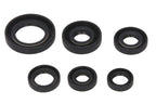 Set garnituri pentru motor WINDEROSA 822146 